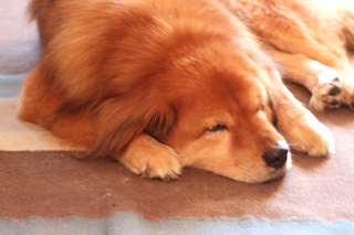 7192600250_ac8908e169_n